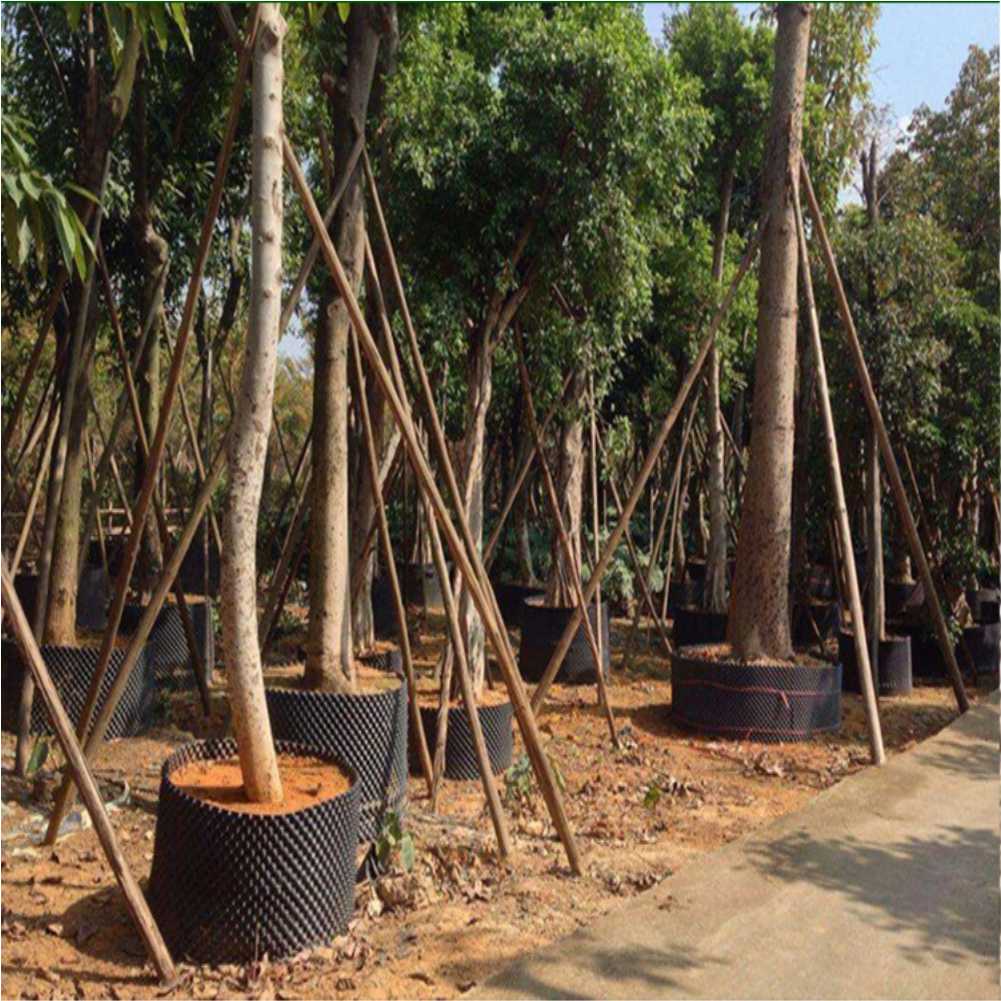Grow Container Garden Tree Bon - đánh giá và giá Outdoor Furniture