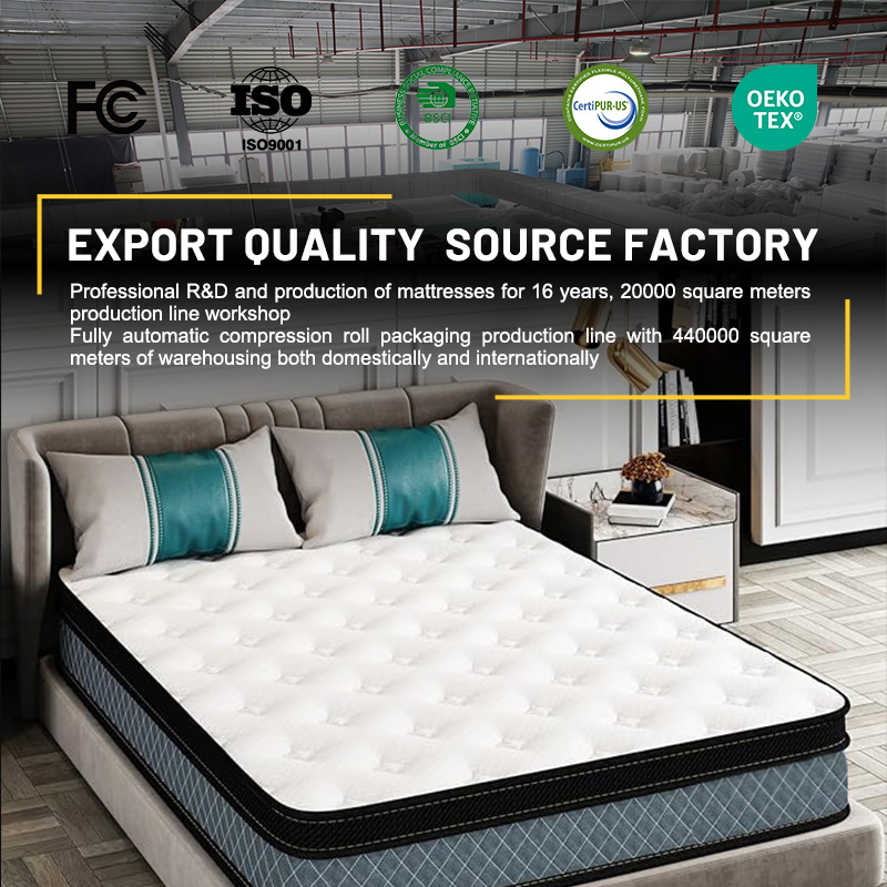Hot Selling Euro Luxury King Q - đánh giá và giá Memory Foam Mattress In A Box Queen